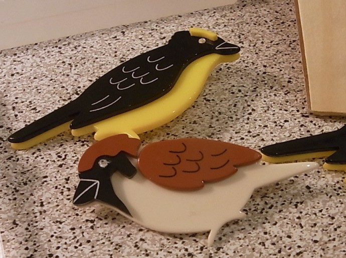 cikolata